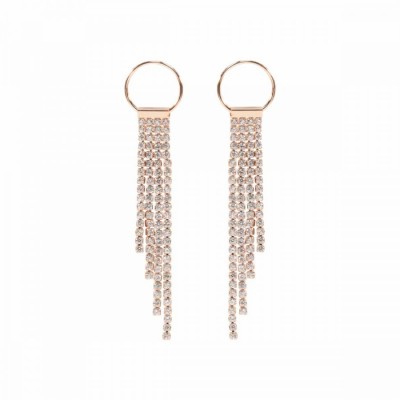 Circle & Sparkle Drop Earrings RG